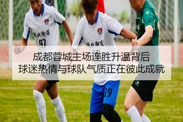 成都蓉城主场连胜升温背后 球迷热情与球队气质正在彼此成就